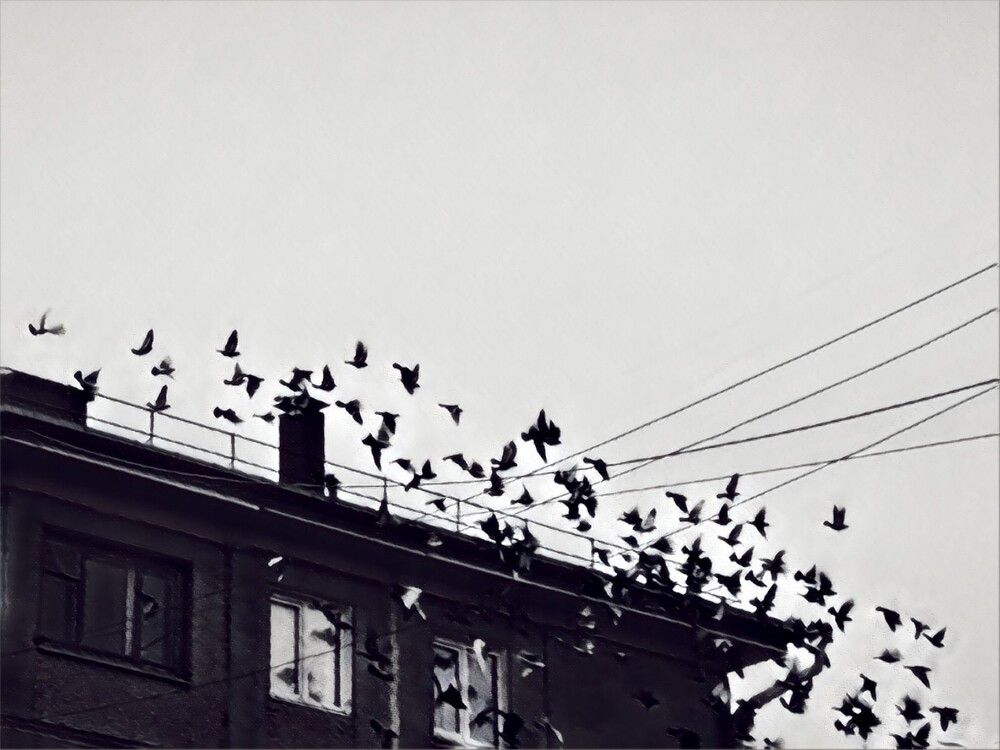 Фотография автора Наталья Силантьева