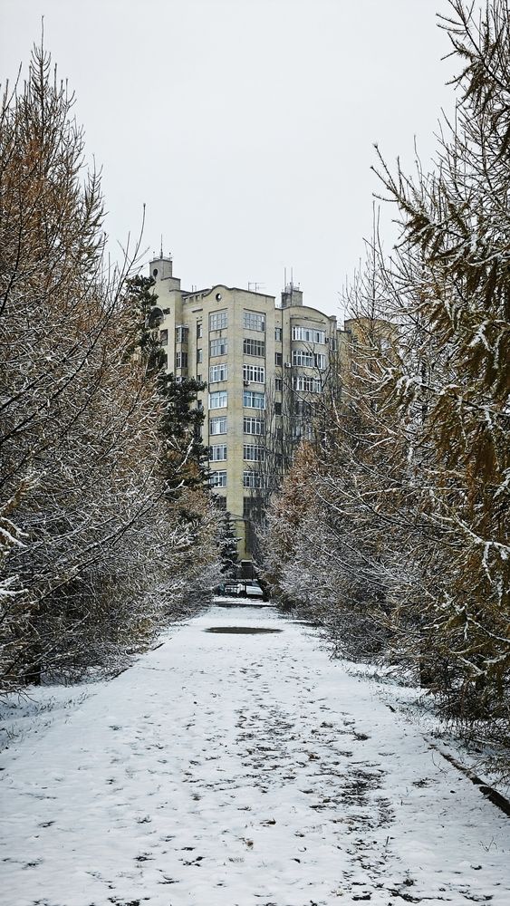 Фотография автора Наталья Силантьева