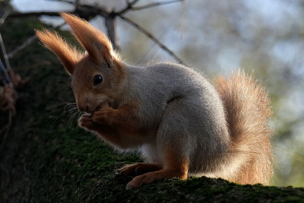 Photograph by Александр