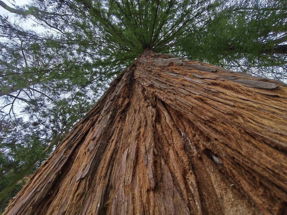 Photograph by Трепольский Дмитрий