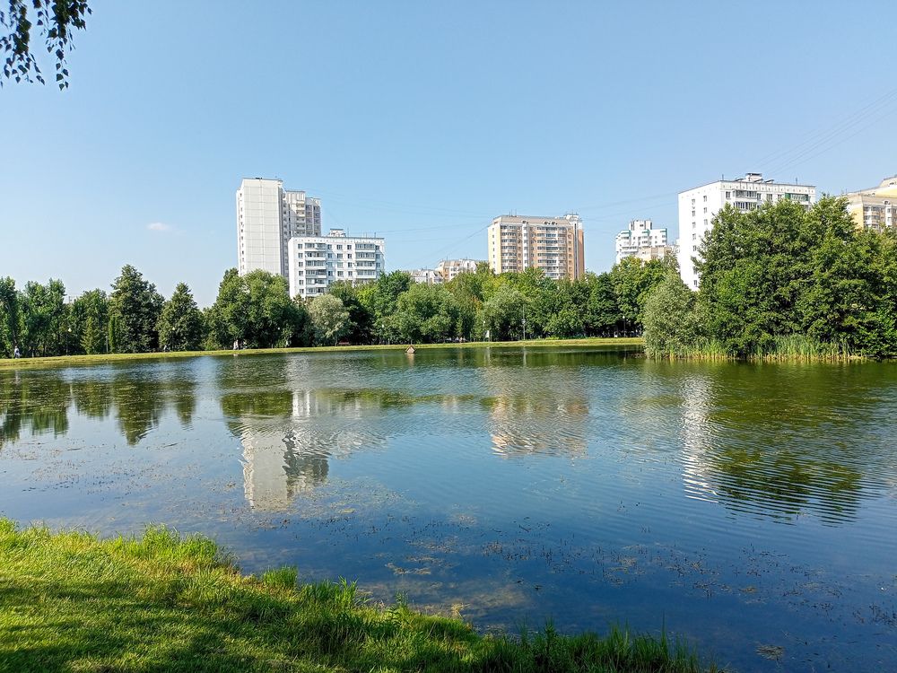 Photo #13052591