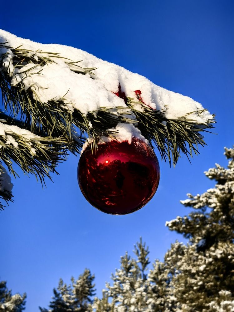 Photograph by Александра Шишулина