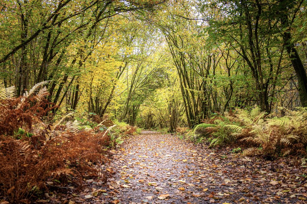 Photograph by Linda Persson