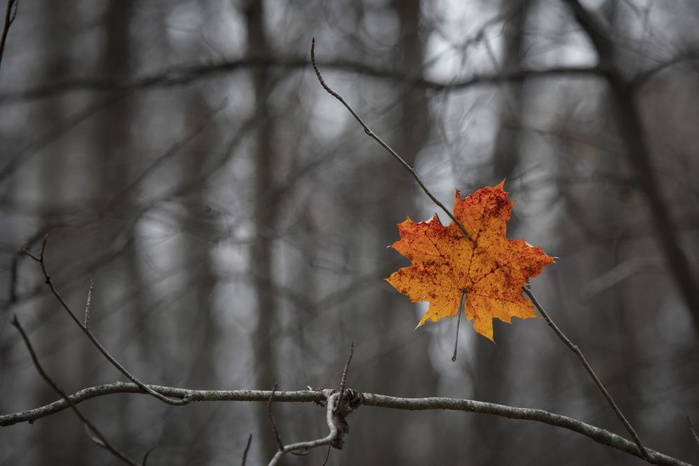 Photograph by Маргарита Дугалева