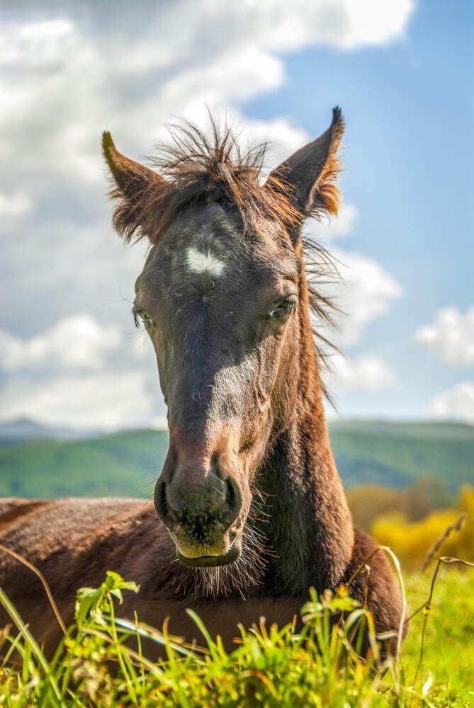 Фотография автора Вячеслав ИВАНОВ
