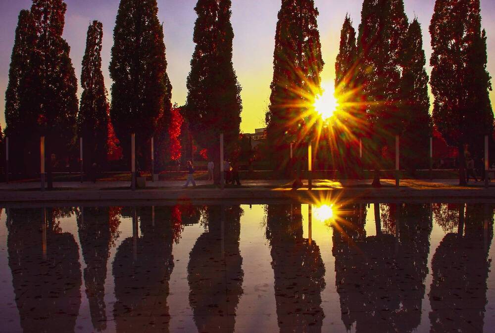 Фотография автора Татьяна Сергиенко