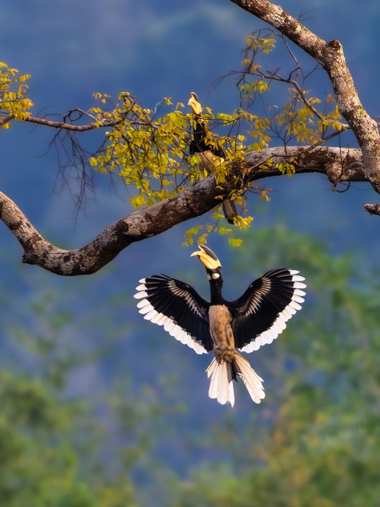 Photograph by Vipin P C