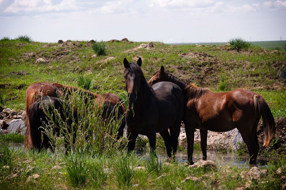 Фотография автора Наталья Цуканова