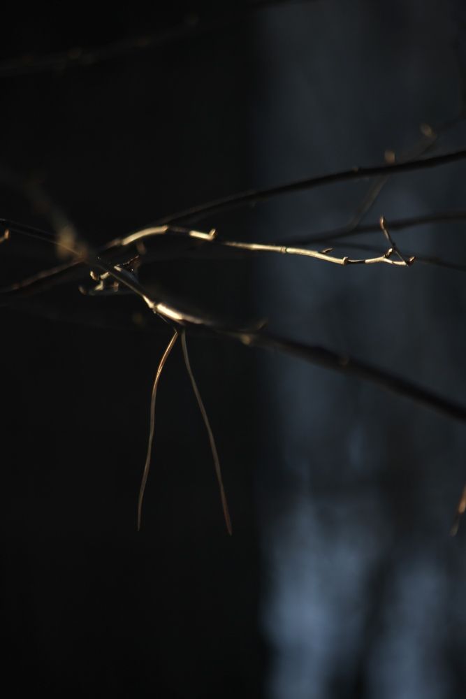 Photograph by Марина Мишутина