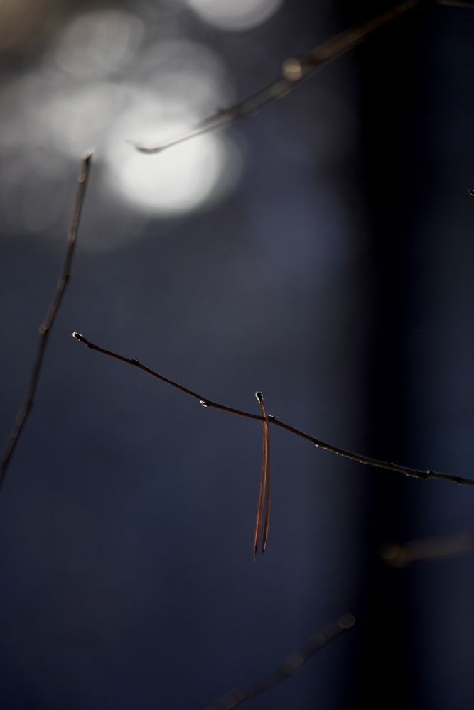 Photograph by Марина Мишутина