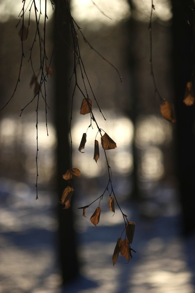 Photograph by Марина Мишутина