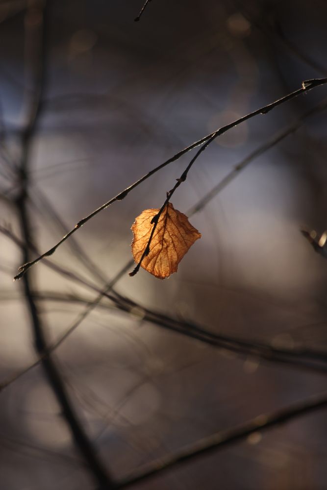 Photograph by Марина Мишутина