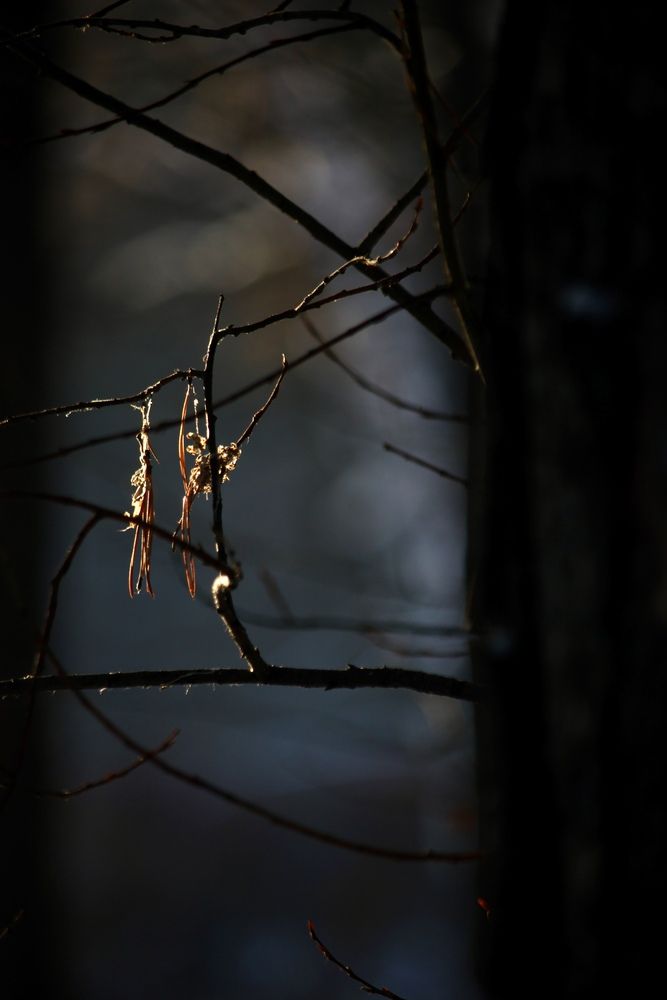 Photograph by Марина Мишутина