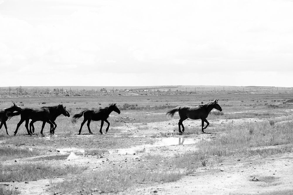 Фотография автора Наталья Цуканова