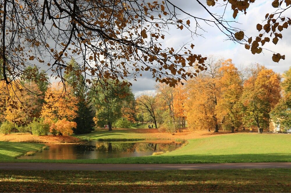 Осеннее солнце