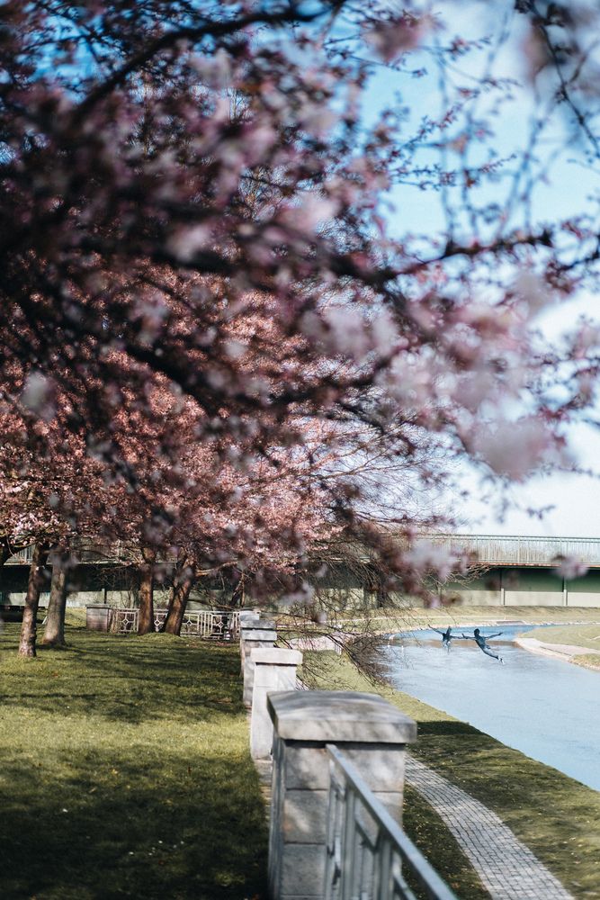 Photograph by Angela