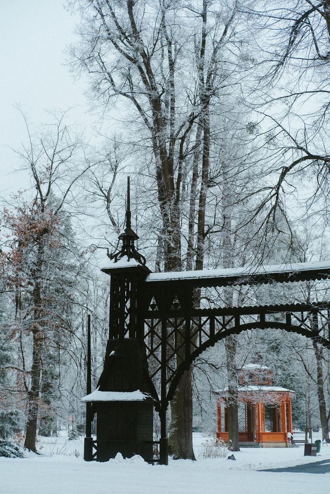 Photograph by Angela