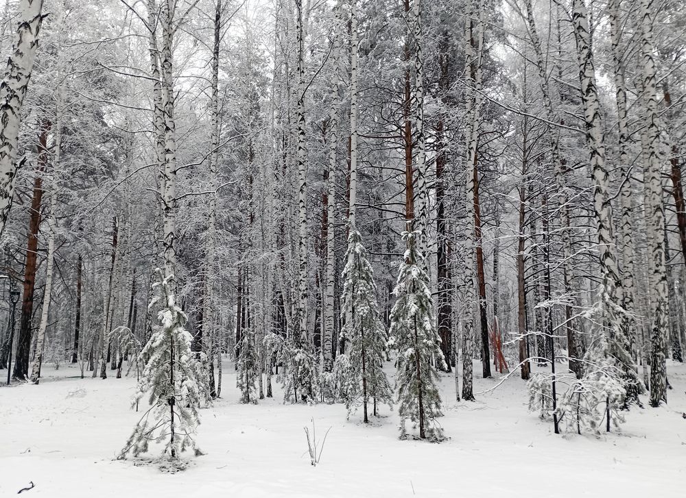 Photograph by Баженова Наталья