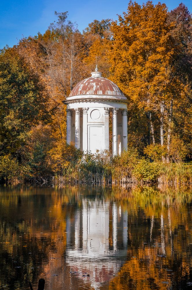 Фотография автора Елизавета Синицына