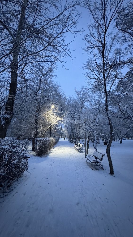 Photograph by Марина Мишутина