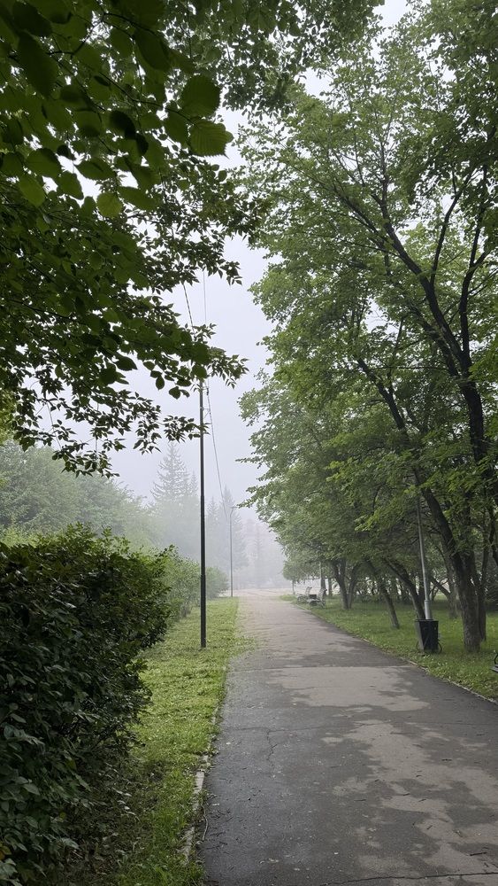 Photograph by Марина Мишутина