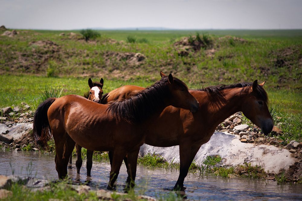 Фотография автора Наталья Цуканова