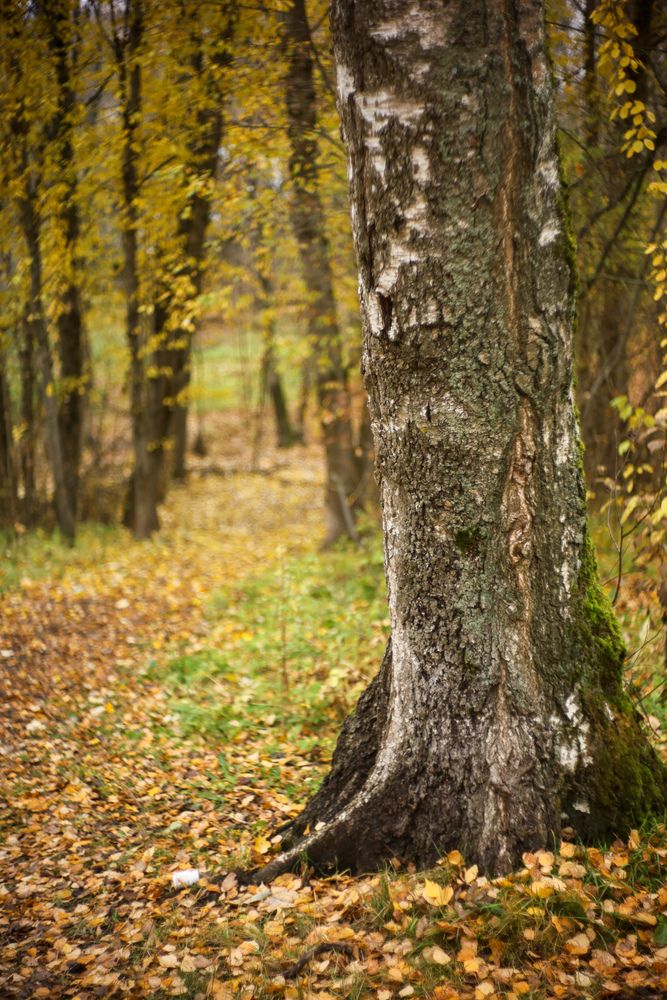 Photograph by Алексей Соймин