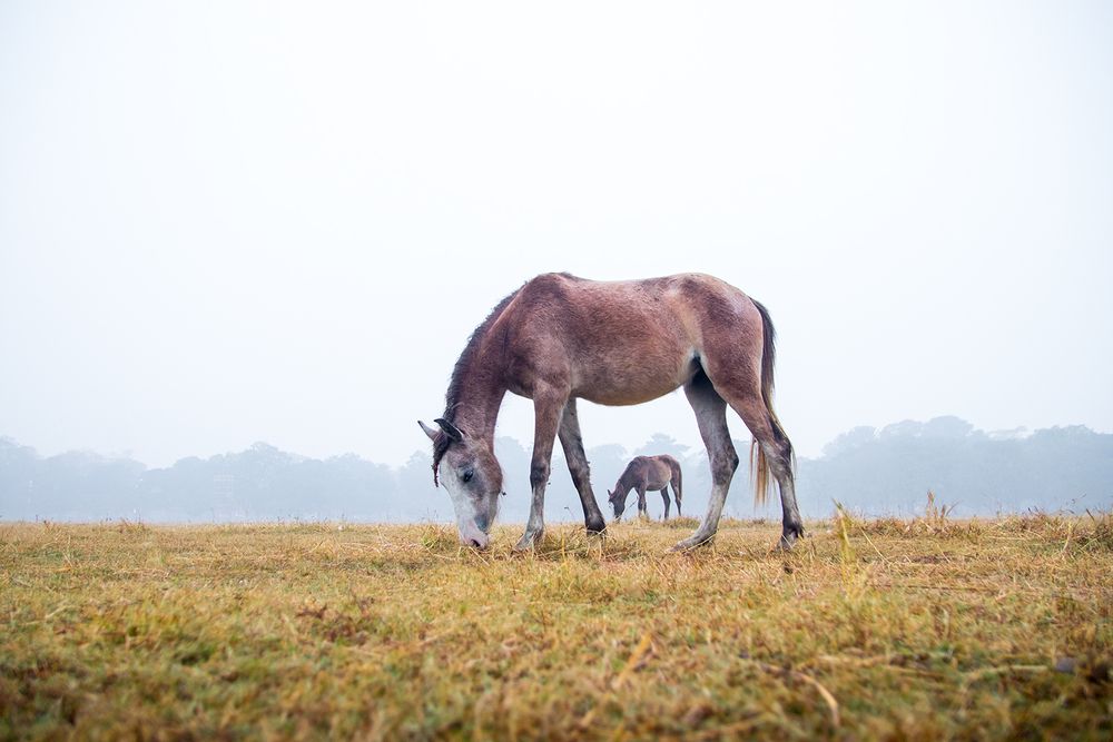 Photograph by Aritra Nath