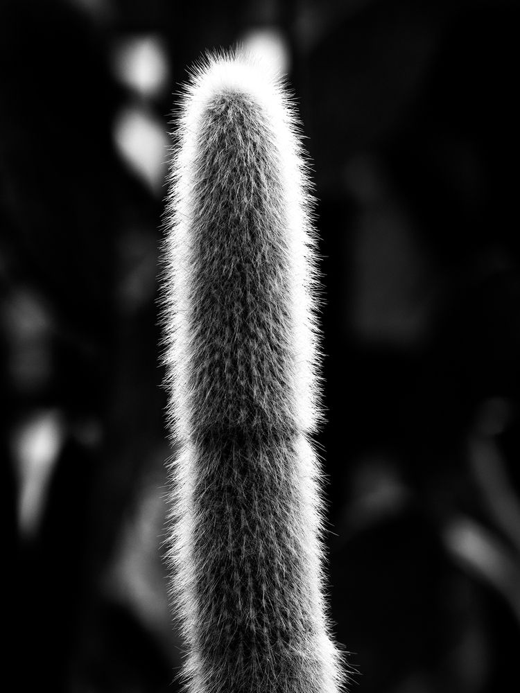 Photograph by Александр Луппов