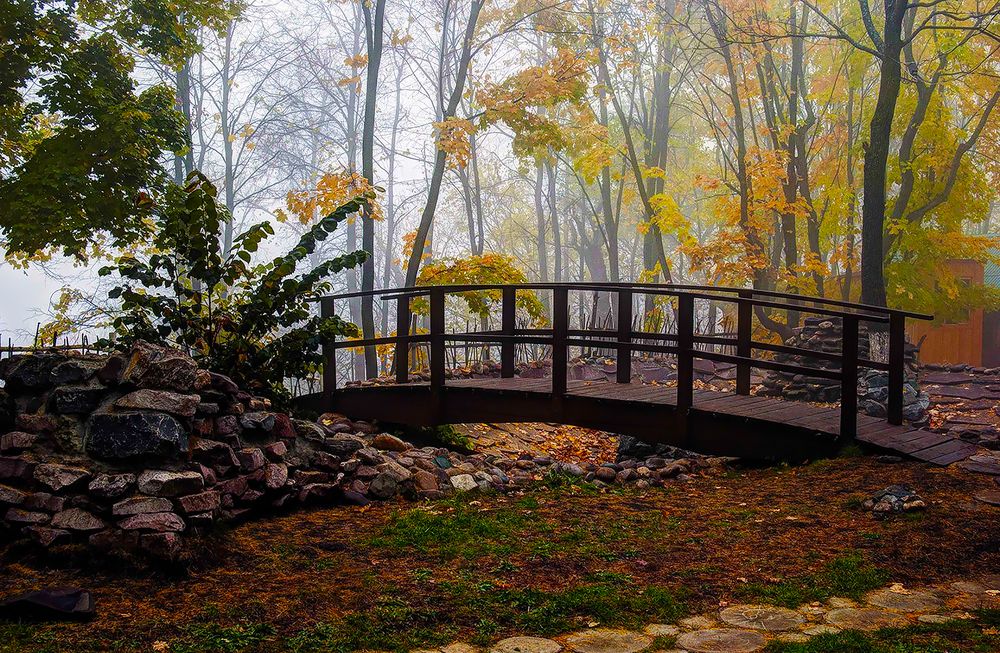 Photograph by Алексей Патлах