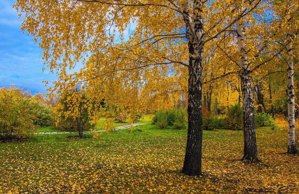 Photograph by Алексей Патлах