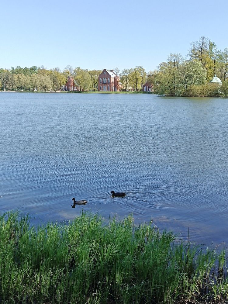 Photograph by Наталья Покрепина