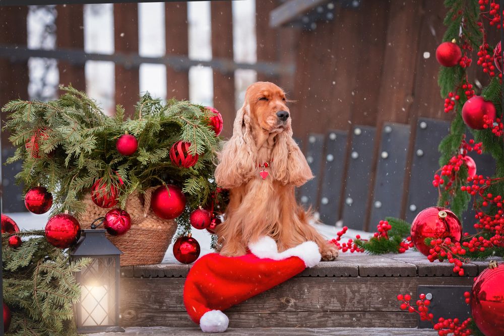 Photograph by Наталья Степанова