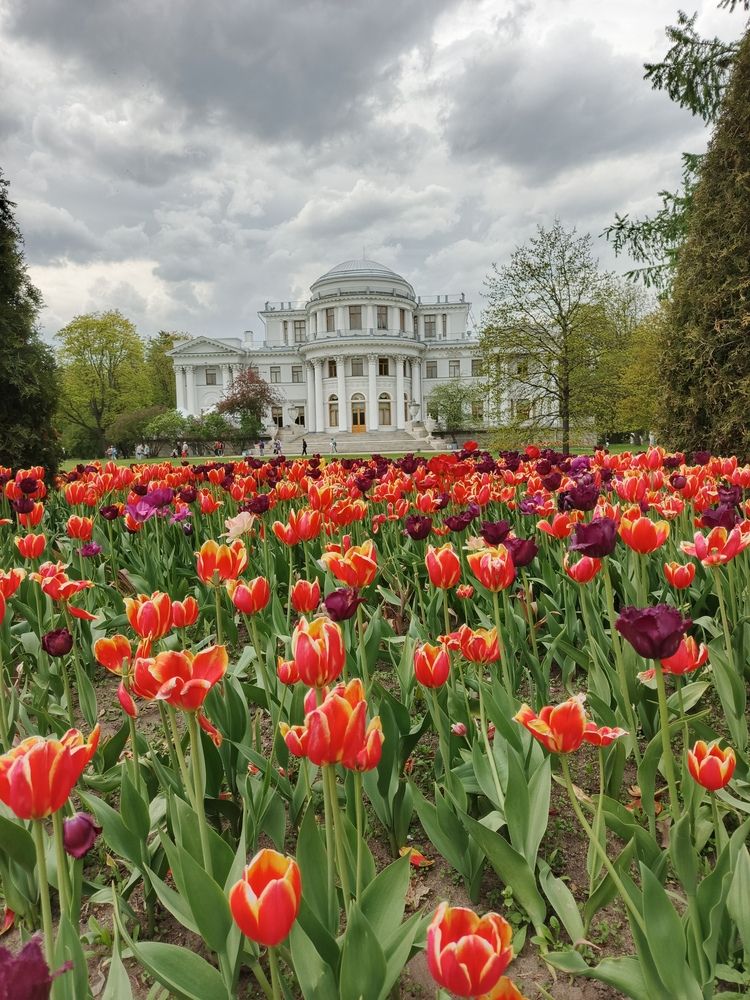 Photograph by Наталья Покрепина