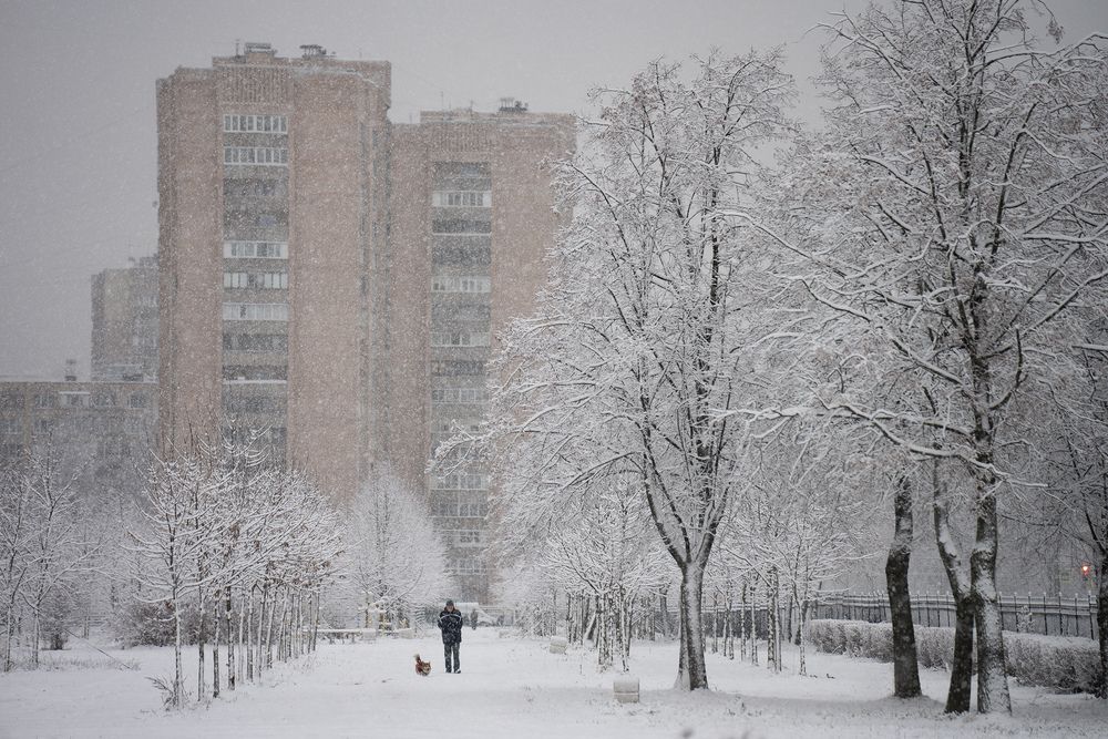 Photograph by Дмитрий Жуков