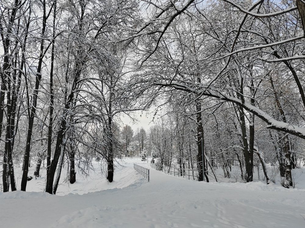Photograph by Olga Buzuleva