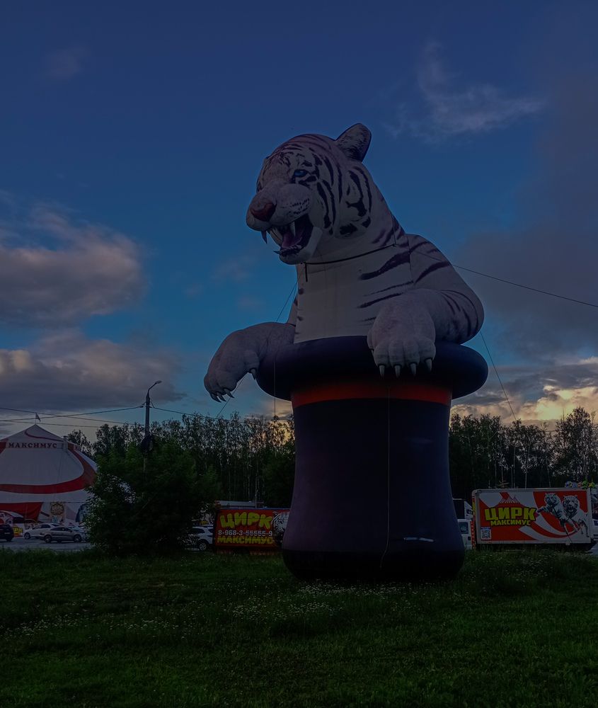 Photograph by Елена Ерасова