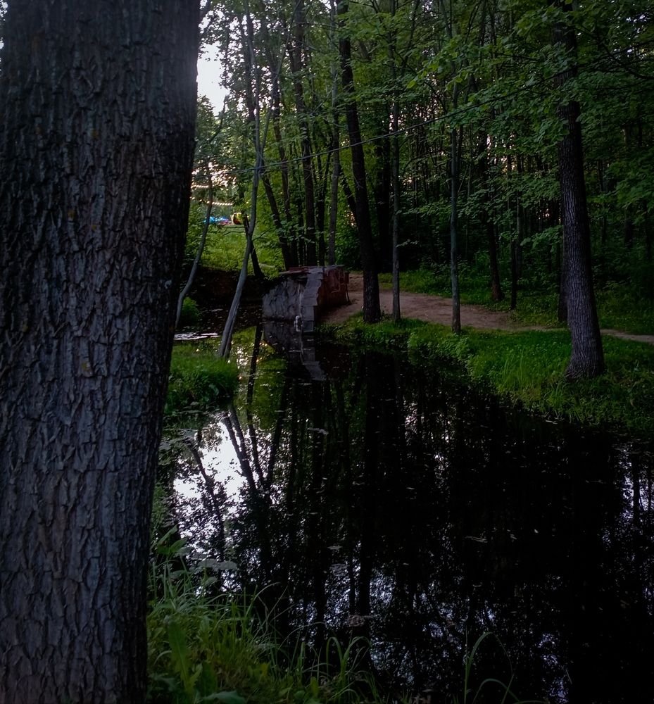 Photograph by Елена Ерасова