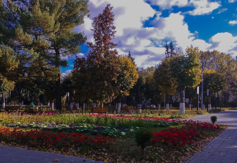 Photograph by Елена Ерасова