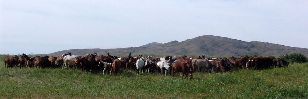 Photograph by Михаил Максимов