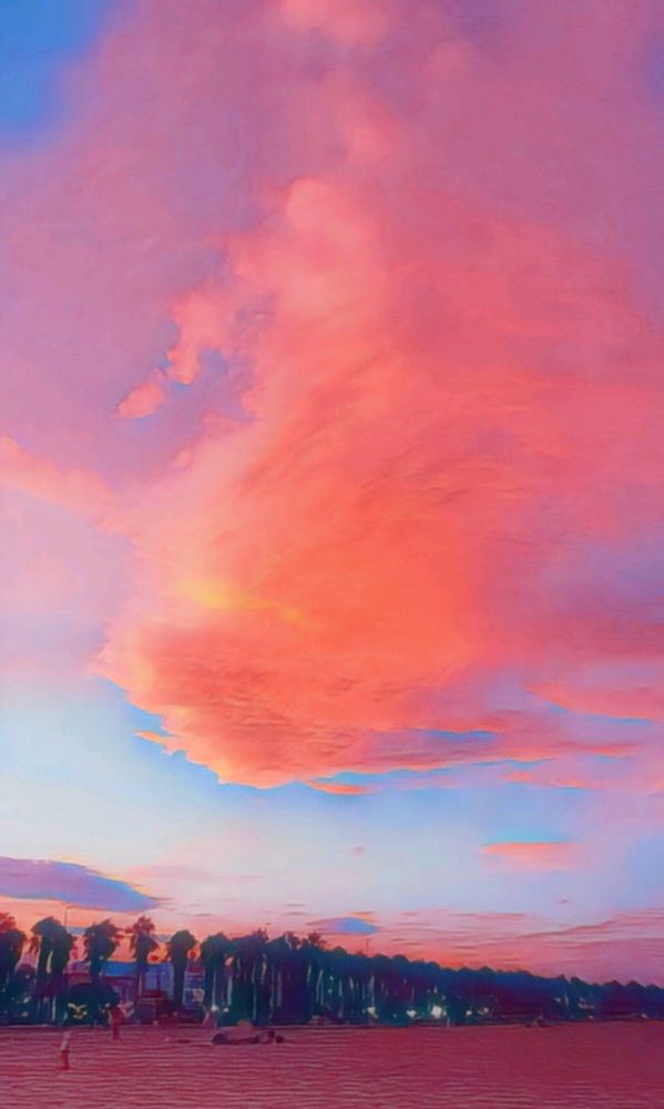 Photograph by Juliana Pedevilla