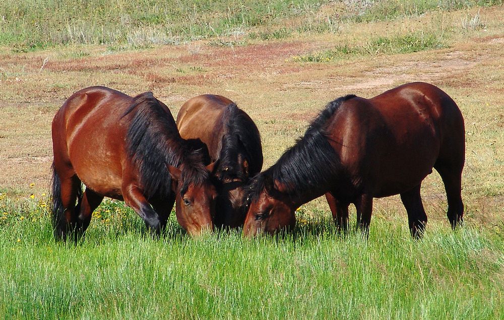 Photograph by Михаил Максимов