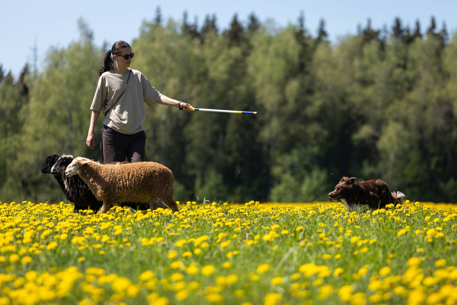 Фотография #13053076