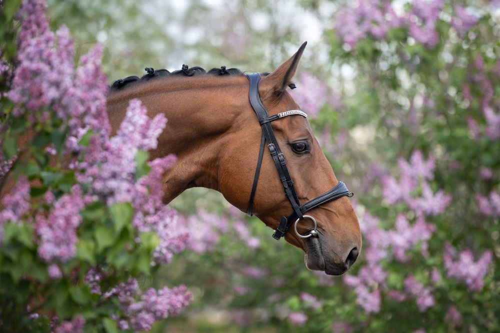 Photograph by Вера Якушева