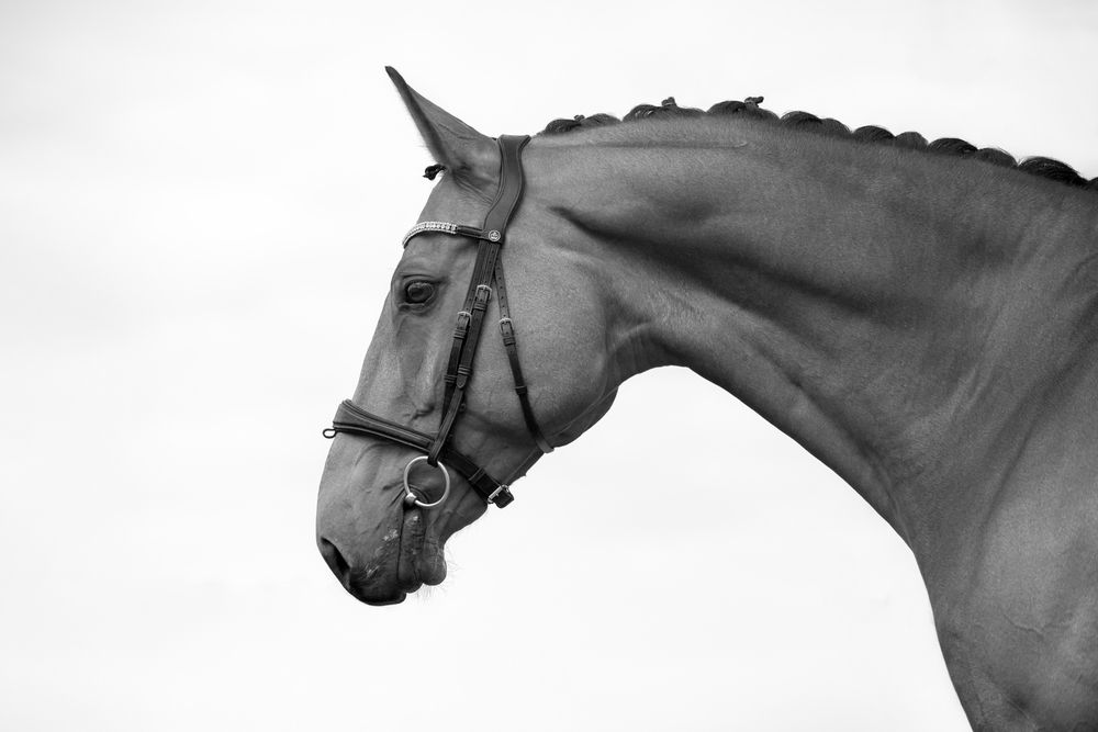 Photograph by Вера Якушева