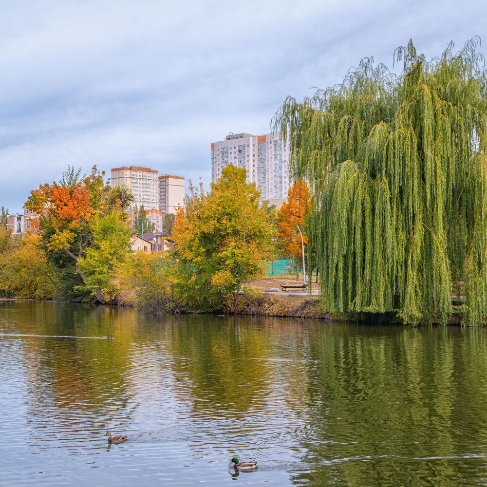 Photograph by Олег Белан