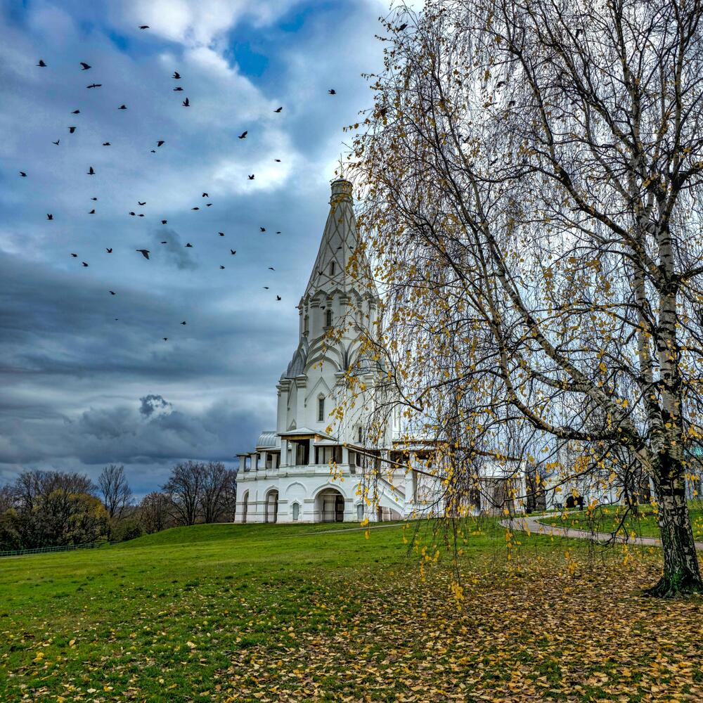 Фотография автора Ольга