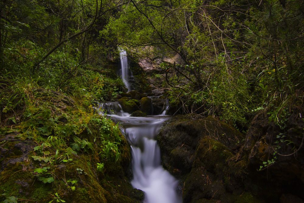Photograph by Ömer Sarıtas