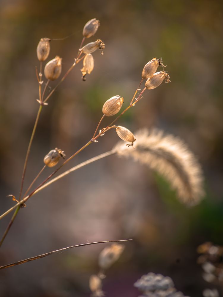 Photograph by Ольга Сафронова