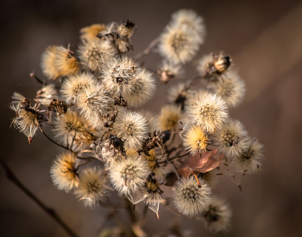 Photograph by Ольга Сафронова